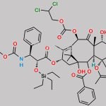 Paclitaxel Impurity 73 CAS#: N/A