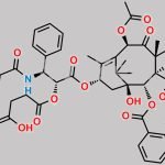 Paclitaxel Succinate CAS#: 117527-50-1
