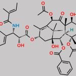Paclitaxel EP Impurity B CAS#: 71610-00-9