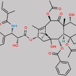 Paclitaxel EP Impurity D CAS#: 150547-36-7