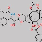 Paclitaxel EP Impurity Q CAS#: 2243233-98-7