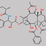 Paclitaxel EP Impurity R CAS#: 158948-96-0