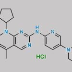 Palbociclib Hydrochloride CAS#: 827022-32-2