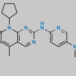 Palbociclib Impurity 11 CAS#: 866084-31-3