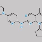 Palbociclib Impurity 40 CAS#: N/A