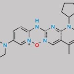 Palbociclib Impurity 69 CAS#: 2488840-61-3