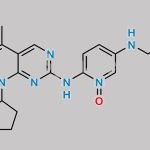 Palbociclib Impurity 76 CAS#: 2488840-67-9