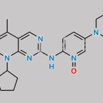 Palbociclib Impurity 83 CAS#: 2098673-41-5