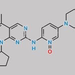Palbociclib Impurity 84 CAS#: 2488840-72-6