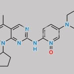 Palbociclib Impurity 85 CAS#: 2488840-73-7