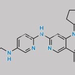 Palbociclib Impurity 91 CAS#: N/A