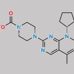 Palbociclib Impurity 93 CAS#: 2410426-60-5