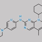 Palbociclib N-Cyclohexyl Analog CAS#: 2624141-94-0