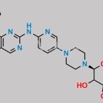 Palbociclib N-Glucuronide CAS#: N/A