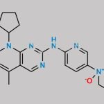 Palbociclib Piperazine N-Oxide CAS#: 2174002-29-8