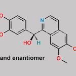 Papaverine Hydrochloride EP Impurity B CAS#: 482-76-8