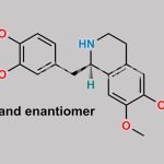 Papaverine Hydrochloride EP Impurity E CAS#: 13074-31-2