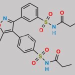 Parecoxib Impurity 1 CAS#: 1708094-99-8