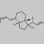 Paricalcitol CAS#: 131918-61-1