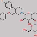 Paroxetine Impurity 5 CAS#: N/A