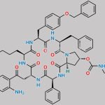 Pasireotide Impurity 1 CAS#: N/A