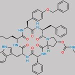 Pasireotide Impurity 2 CAS#: 741701-25-7