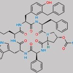 Pasireotide Impurity 4 CAS#: N/A