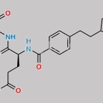 Pemetrexed Impurity 49 CAS#: 1265908-65-3
