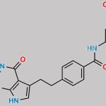 Pemetrexed Nitroso Impurity 3 CAS#: N/A