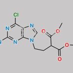 Penciclovir Methyl Ethyl Decarboxylated Compound CAS#: 1696426-78-4