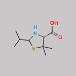 Penicillamine Acid Impurity CAS#: 13206-31-0
