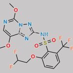 Penoxsulam CAS#: 219714-96-2