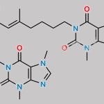 Pentoxifylline EP Impurity J CAS#: 874747-30-5