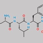 Peptide Epoxide Carfilzomib CAS#: N/A