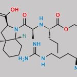 Perindopril L-Arginine CAS#: 612548-45-5