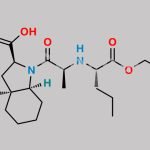 Perindopril t-Butylamine CAS#: 107133-36-8