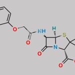 Phenoxymethylpenicillin CAS#: 87-08-1