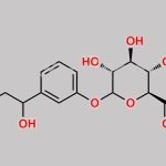 Phenylephrine Glucuronide CAS#: N/A