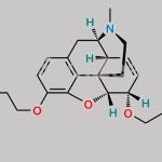 Pholcodine EP Impurity D CAS#: 291532-18-8