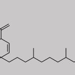 Phytonadione Impurity 11 CAS#: 19397-95-6