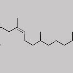 Phytonadione Impurity 12 CAS#: N/A