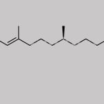 Phytonadione Impurity C CAS#: 132487-95-7