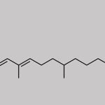 Phytonadione Unknown Impurity 2 CAS#: N/A