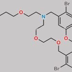 Pinaverium Impurity 14 CAS#: N/A