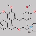 Pinaverium Impurity 6 CAS#: N/A
