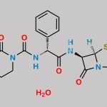 Piperacillin Monohydrate CAS#: 66258-76-2