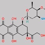 Pirarubicin CAS#: 72496-41-4