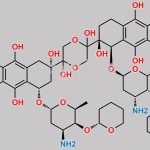 Pirarubicin Dimer Impurity CAS#: N/A
