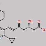 Pitavastatin 5-Oxo Impurity Phenylethylamine Salt CAS#: N/A