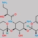 Plazomicin CAS#: 1154757-24-0